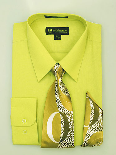 Fortino Landi SG-21Must-G  Mens Shirt