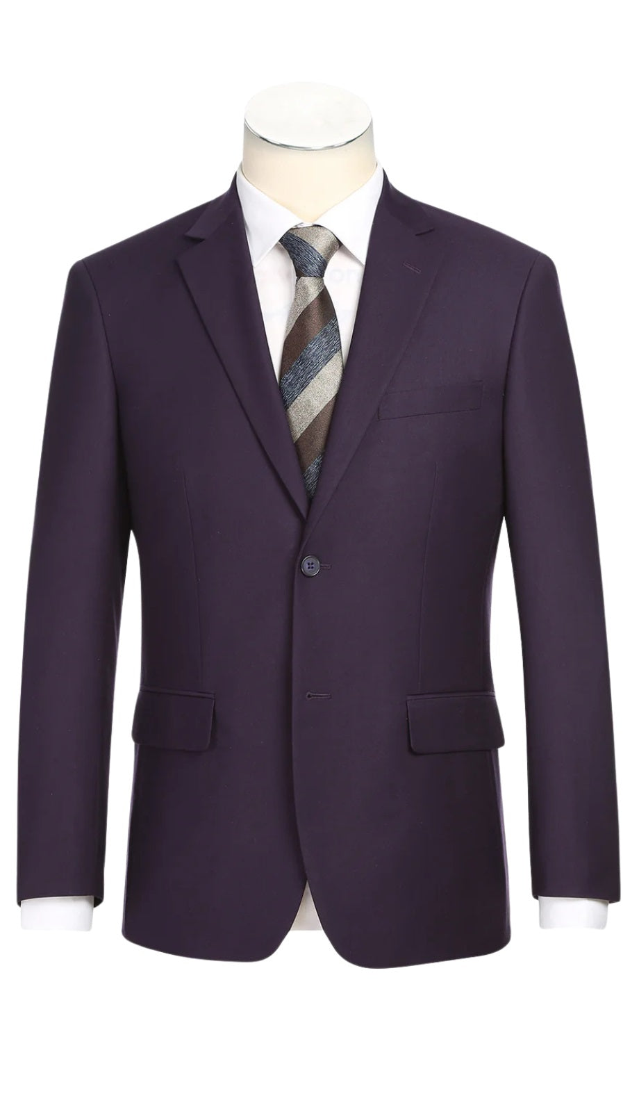 Renoir Men's Suit 201-14-PURPLE